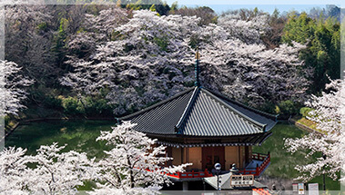 個人参拝のご案内