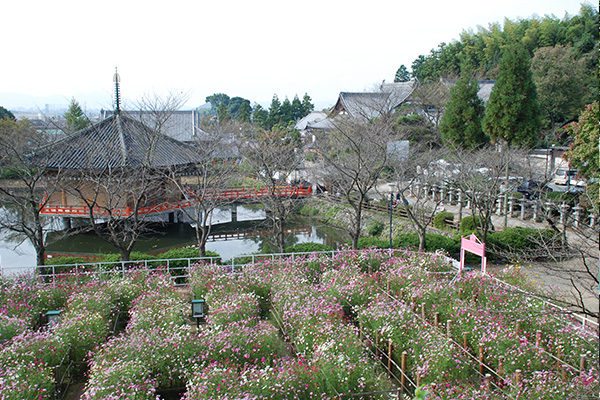 花の広場